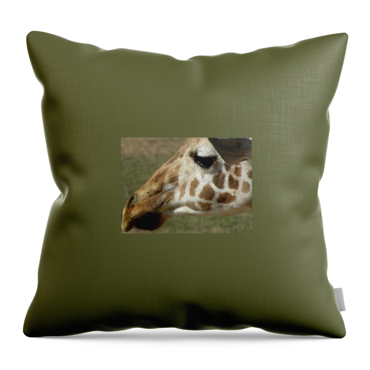 Giraffe Throw Pillow featuring the photograph Marks Of Beauty by Kim Galluzzo Wozniak