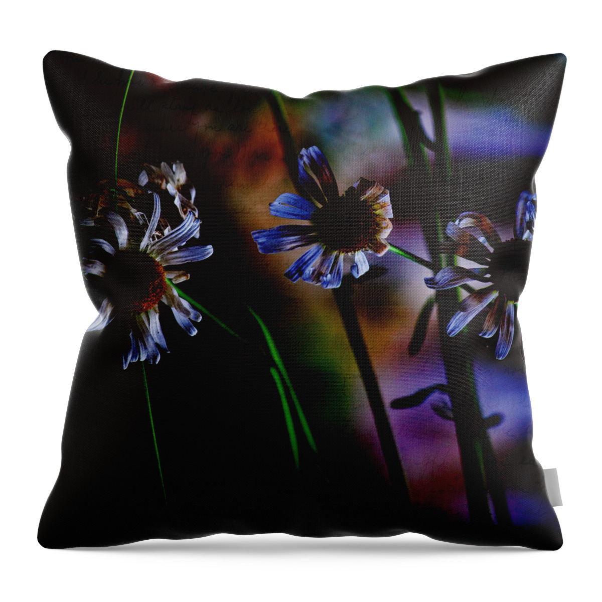 Nature Throw Pillow featuring the photograph Memory Garden by Bonnie Bruno