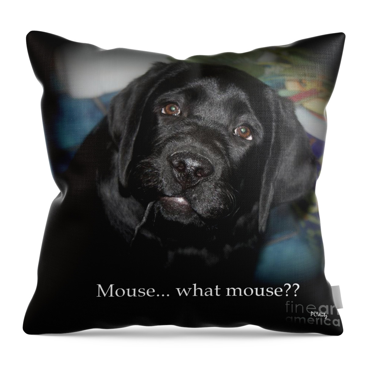 Dog Throw Pillow featuring the photograph Mouse---What Mouse by Patrick Witz