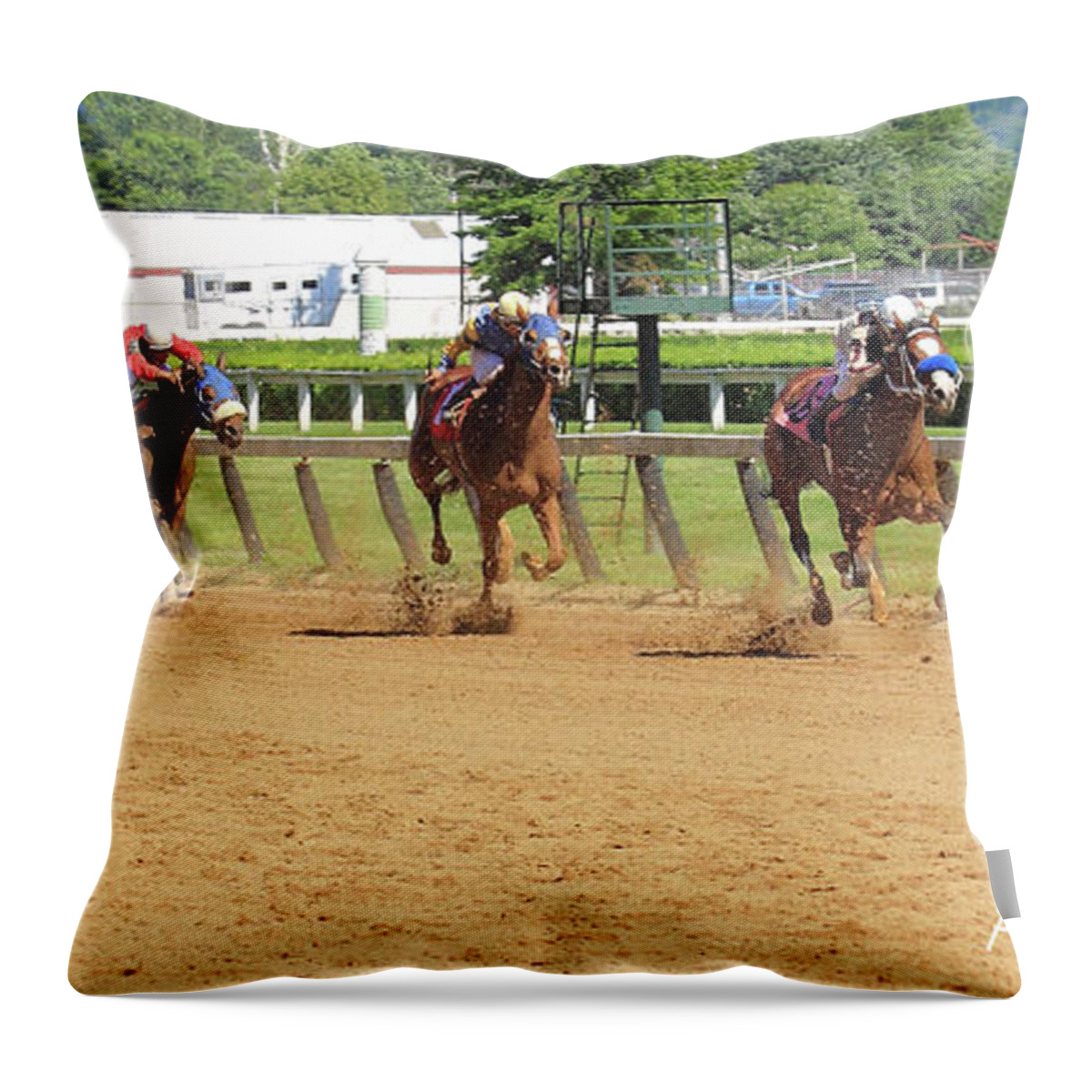 Pjq And Friends Photography Throw Pillow featuring the photograph 'My Gal Sunday' Winner by PJQandFriends Photography