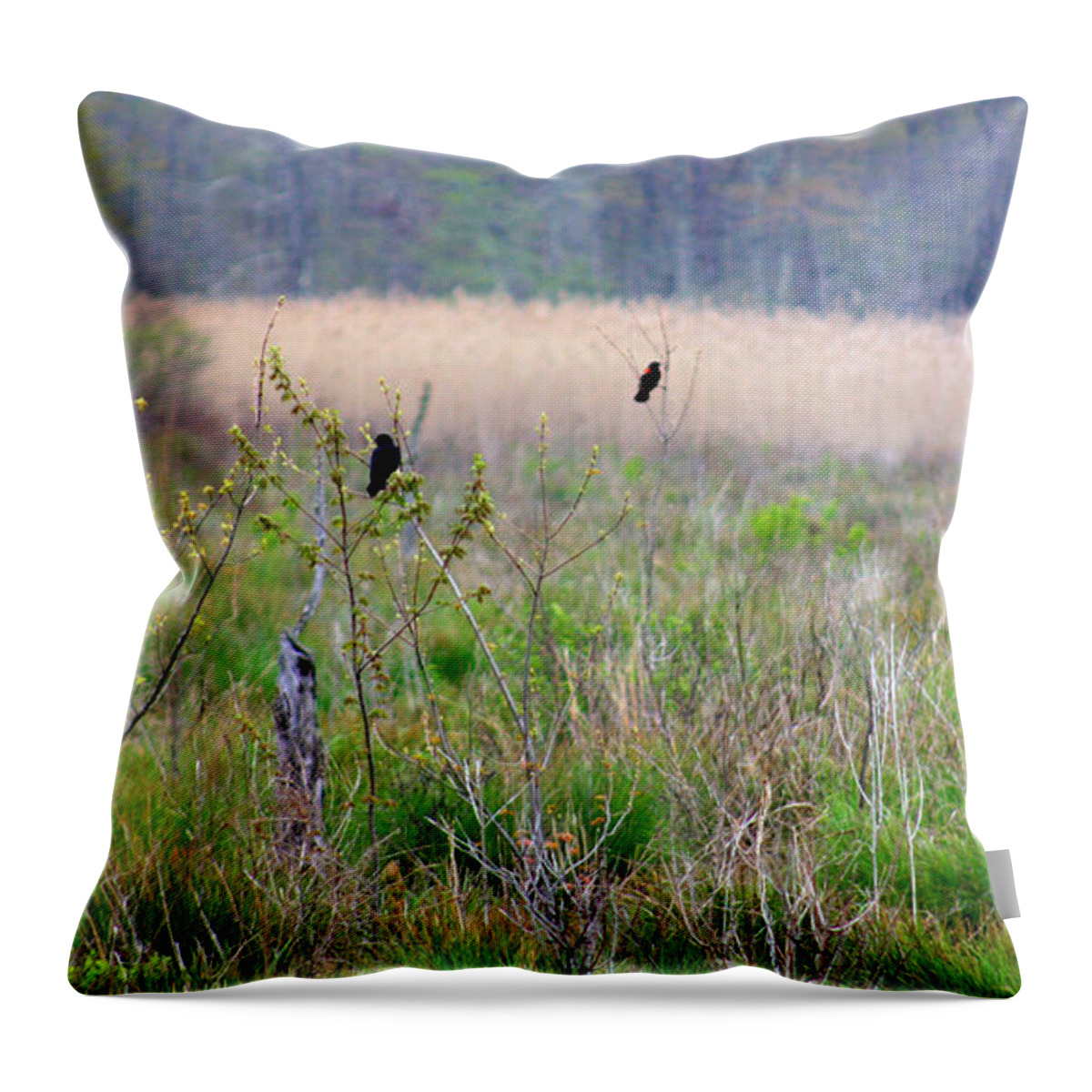 Marshland Throw Pillow featuring the photograph Nature On The Marsh by Kim Galluzzo Wozniak