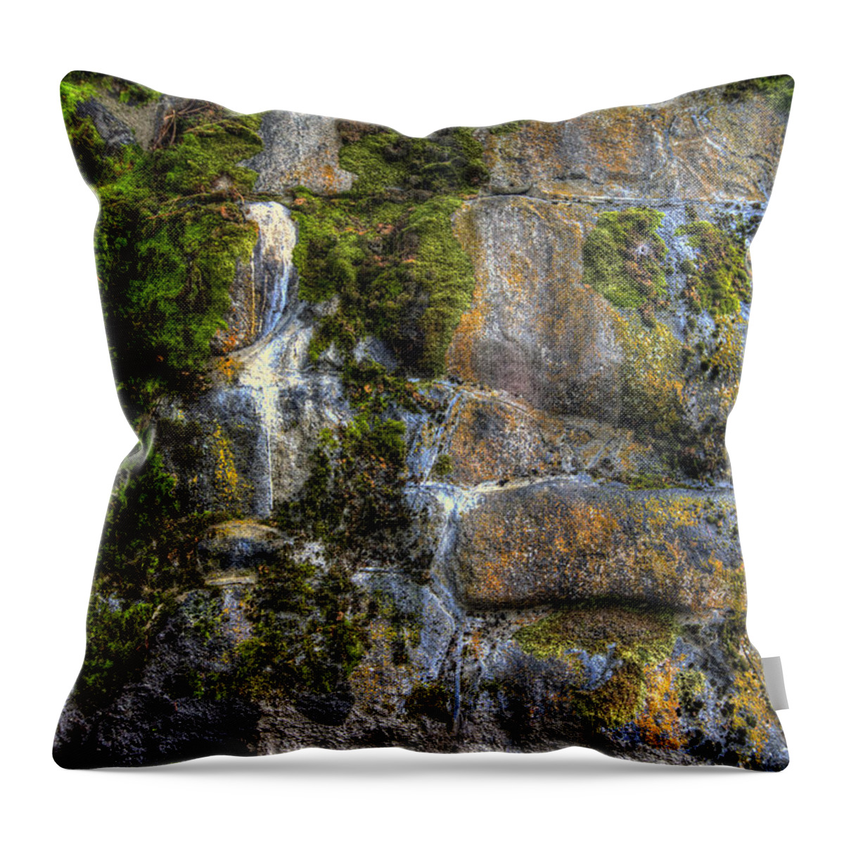 Hdr Throw Pillow featuring the photograph Nature's Abstract by Brad Granger