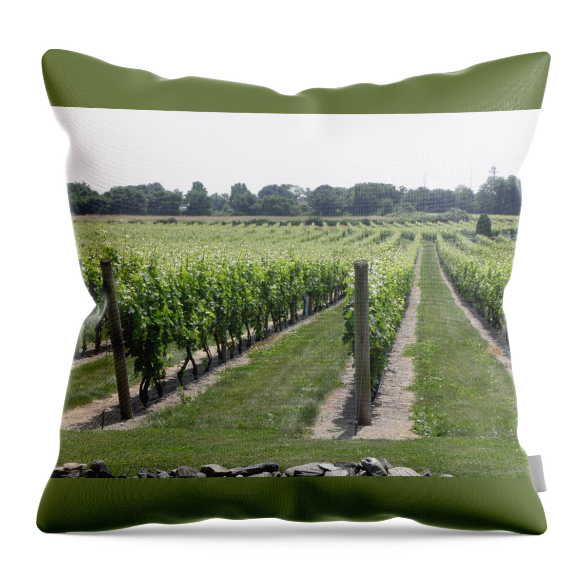 Vineyards Throw Pillow featuring the photograph Newport Vineyards by Kim Galluzzo Wozniak