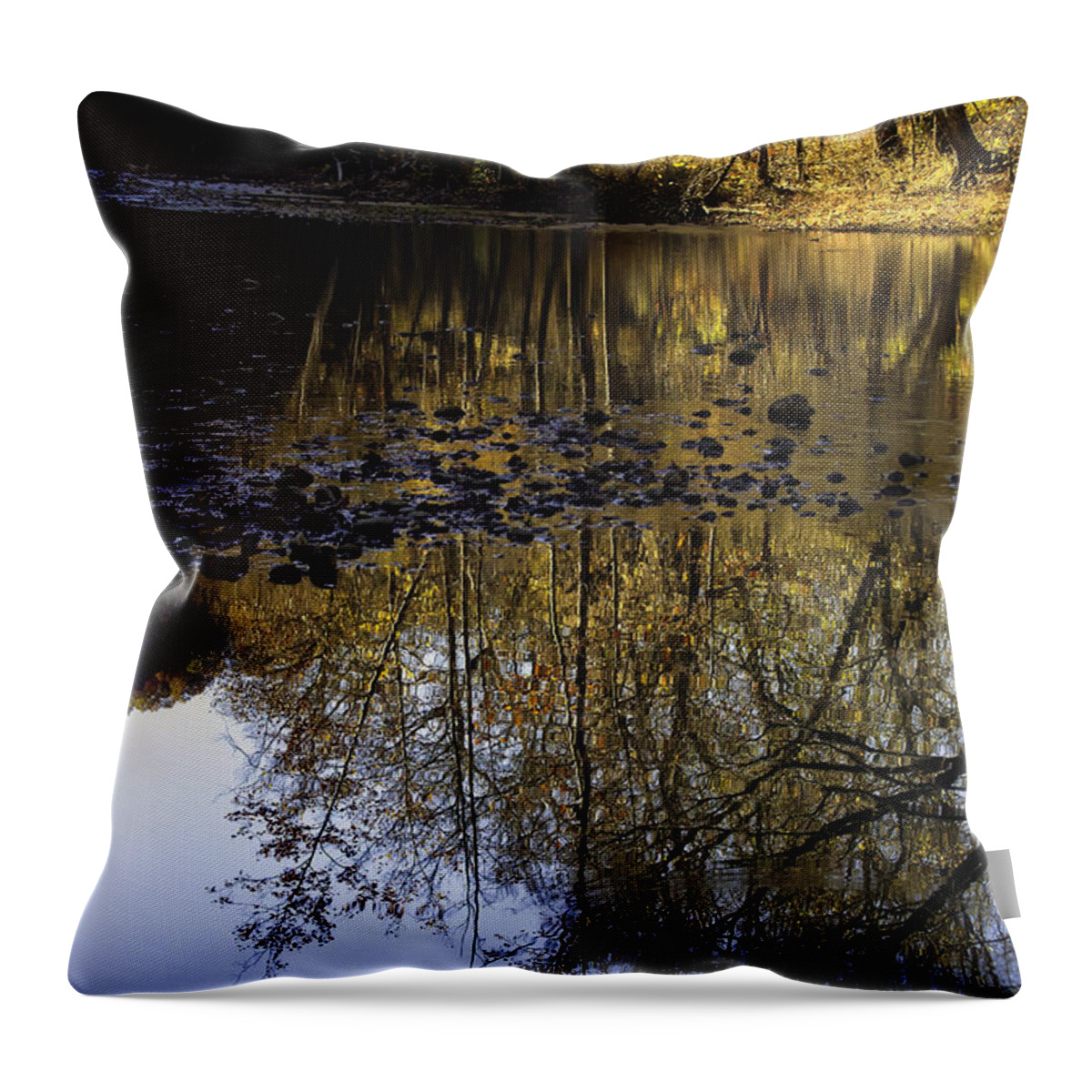 Sunrise Throw Pillow featuring the photograph November Sunrise at Ponca Access by Michael Dougherty