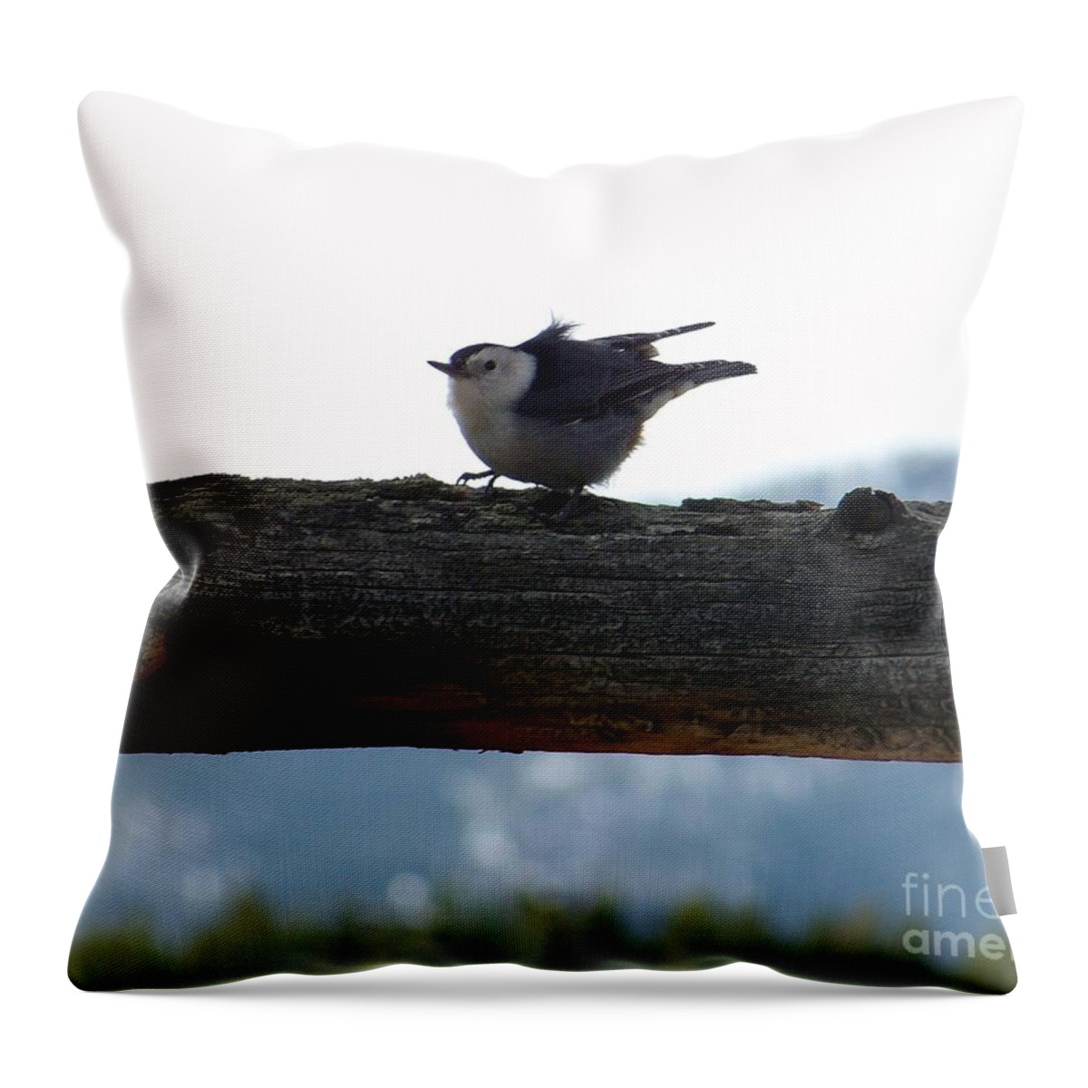 Nuthatch Throw Pillow featuring the photograph Nuthatch by Dorrene BrownButterfield