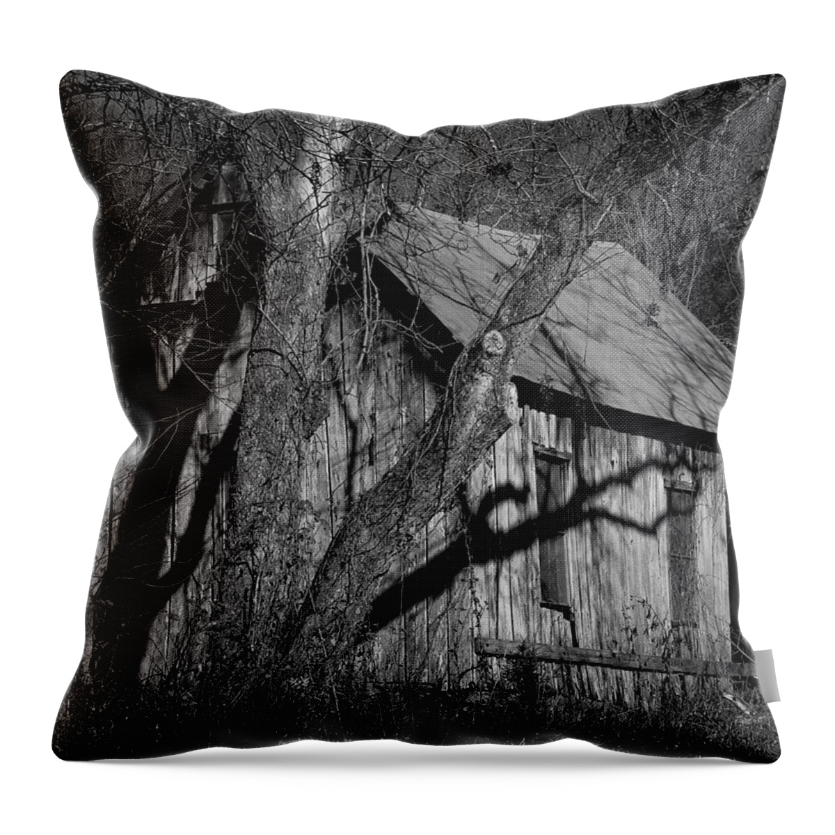 Lost Valley Throw Pillow featuring the photograph Old Clark Homestead Lost Valley by Michael Dougherty