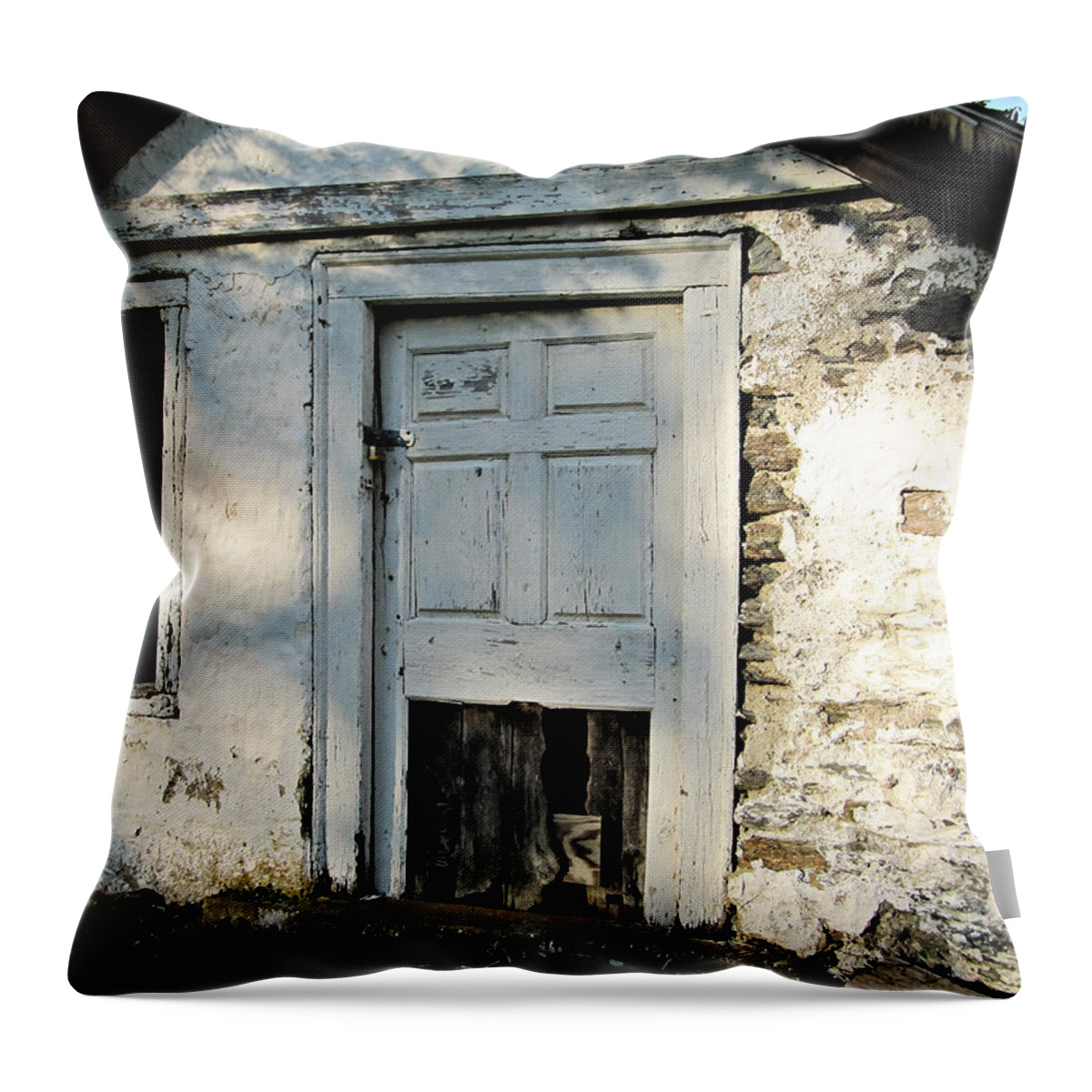 Old Throw Pillow featuring the photograph Old Pump House by Richard Reeve