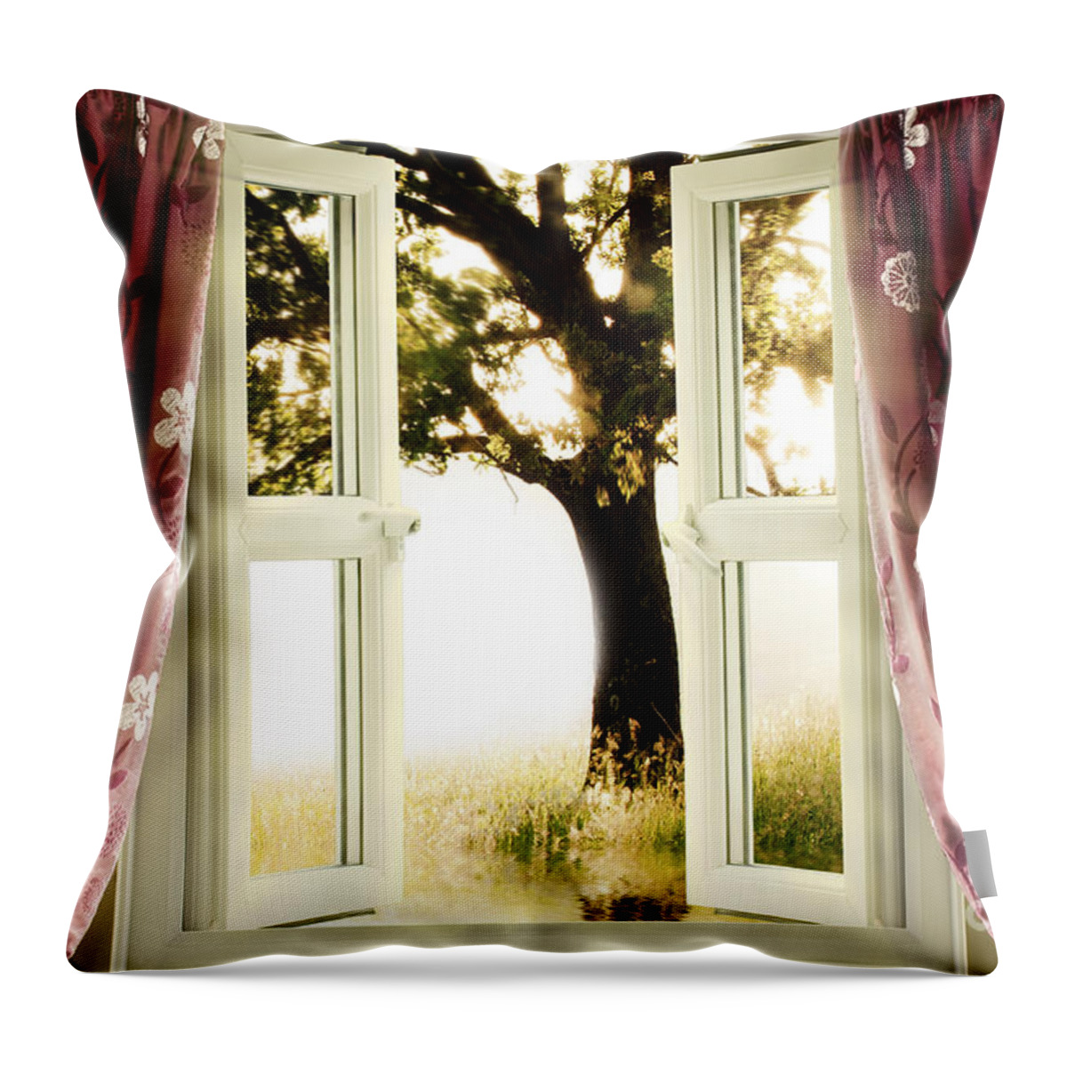Window Throw Pillow featuring the photograph Open window to tree by Simon Bratt