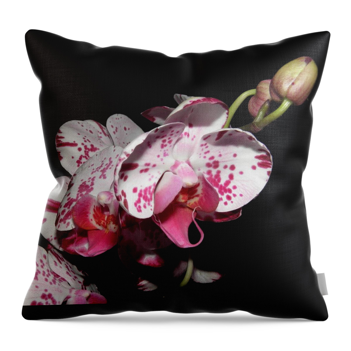 Orchid Throw Pillow featuring the photograph Orchid beauties by Kim Galluzzo