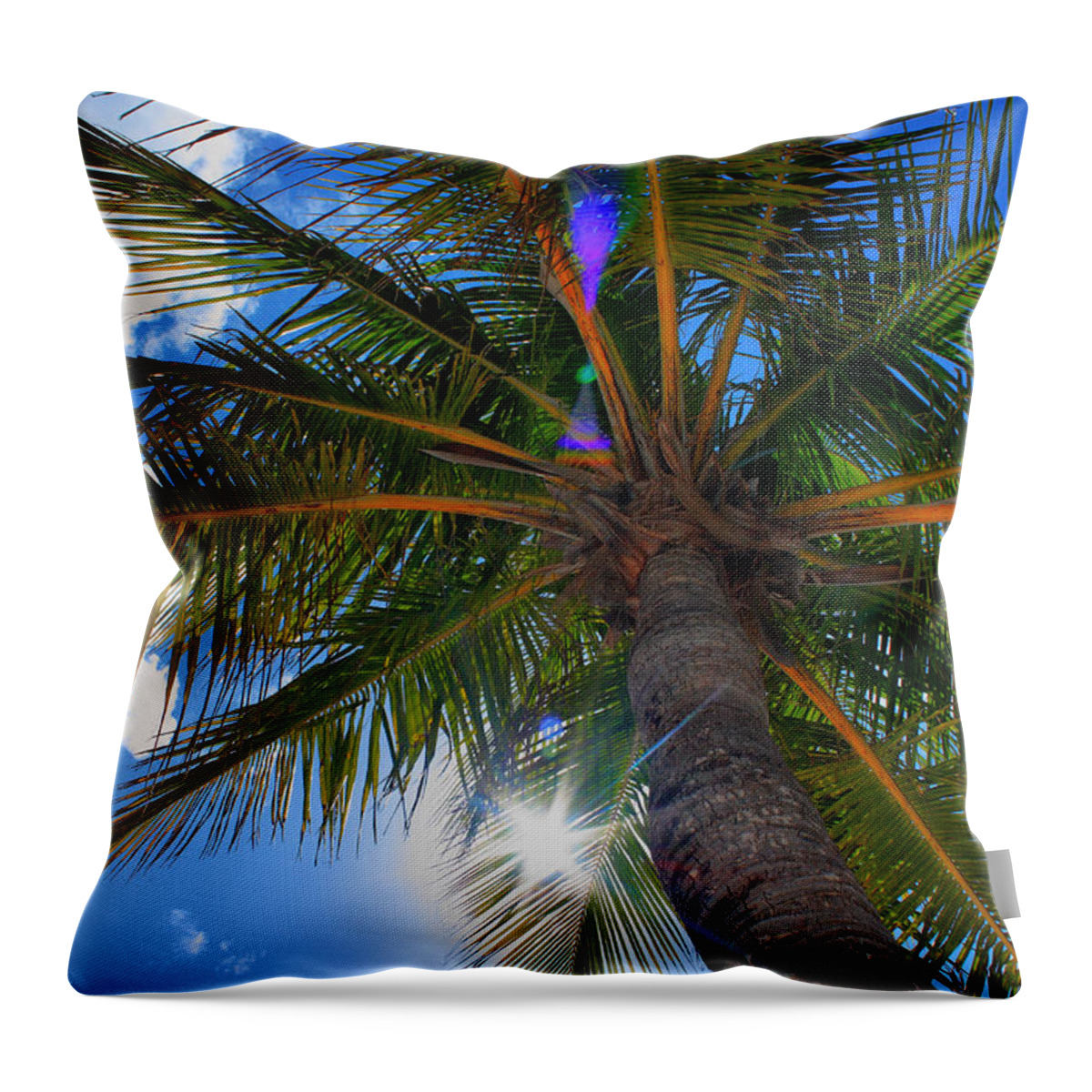 Palm Throw Pillow featuring the photograph Palms Up by Patrick Witz