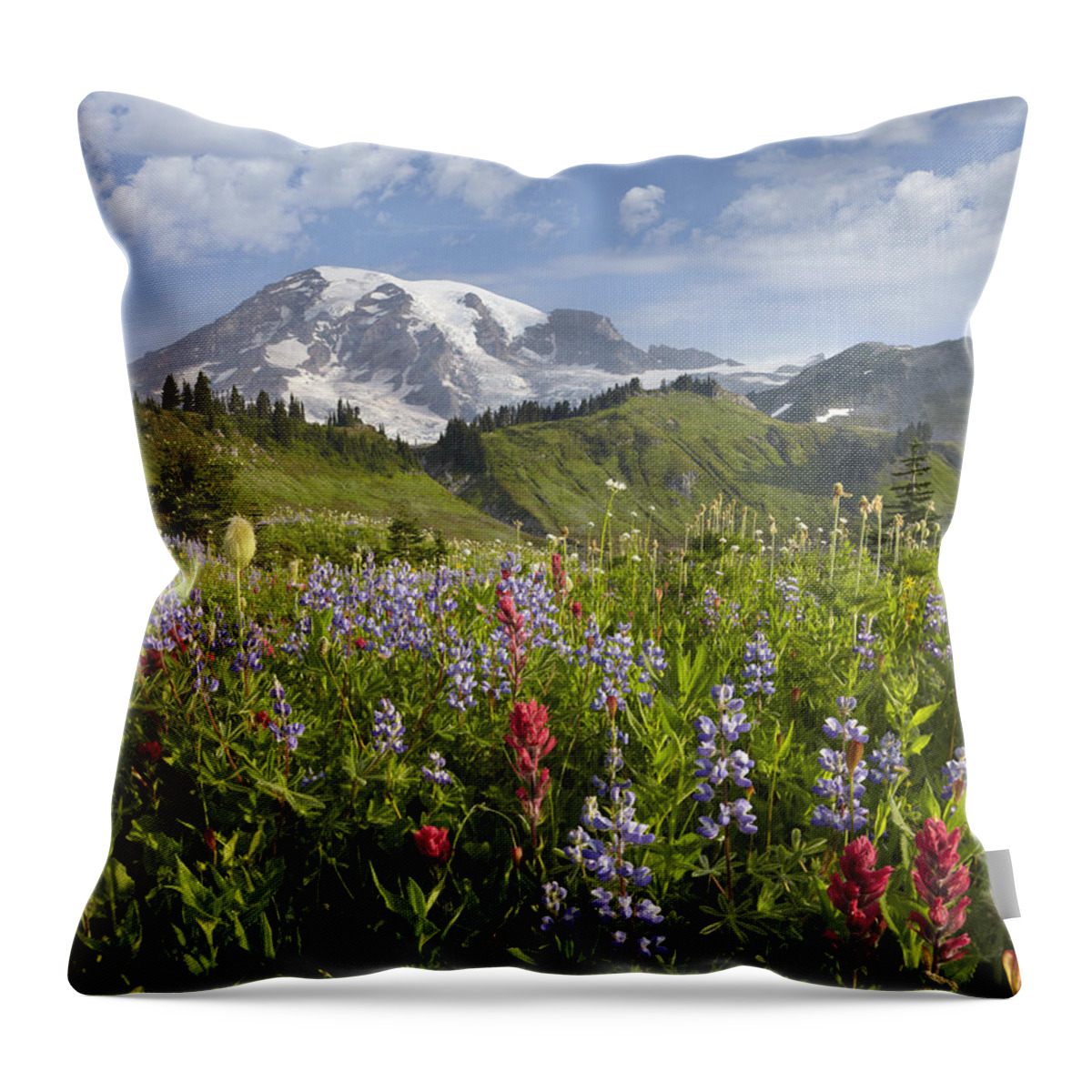 00437809 Throw Pillow featuring the photograph Paradise Meadow And Mount Rainier Mount by Tim Fitzharris