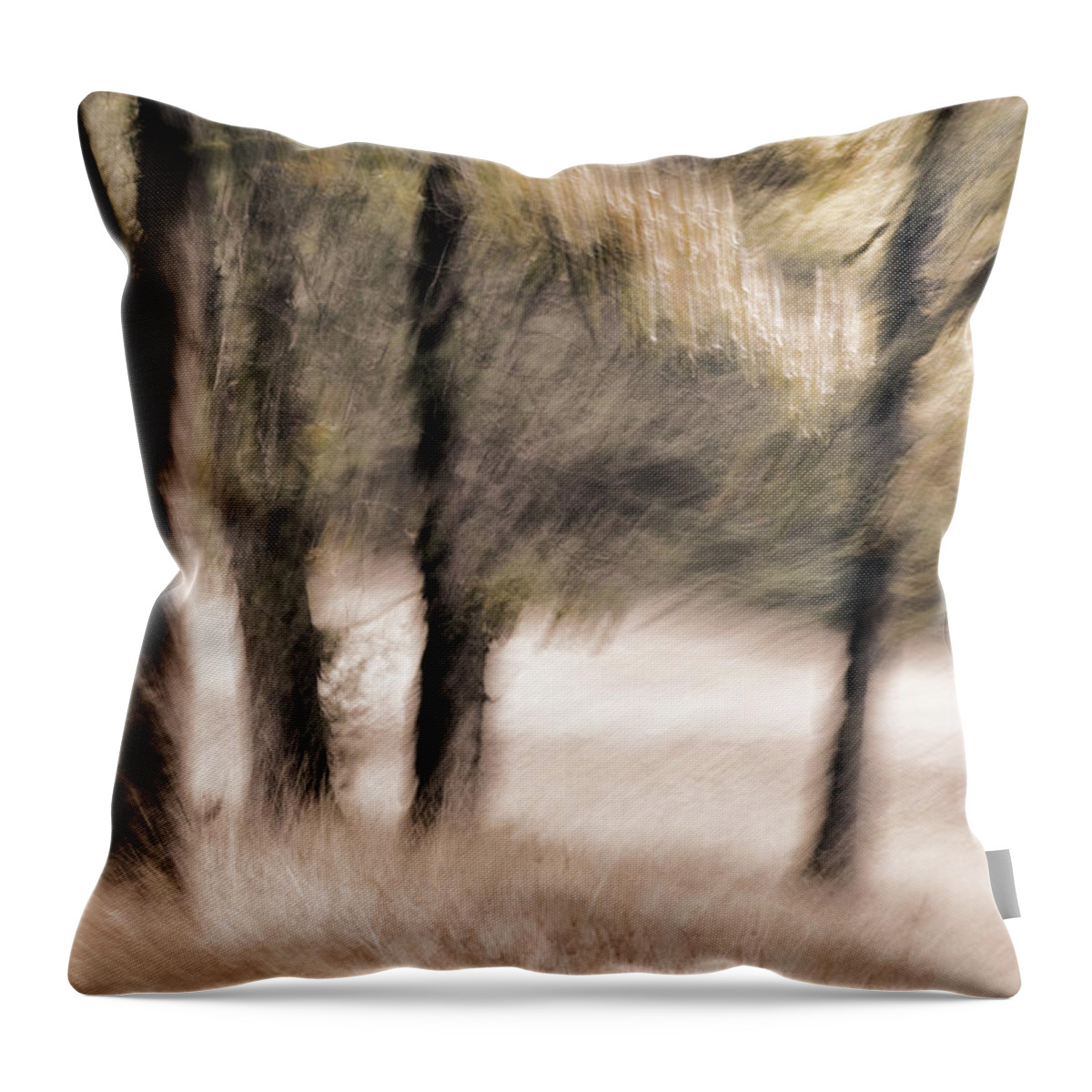 Trees Throw Pillow featuring the photograph Passing by Trees by Carol Leigh