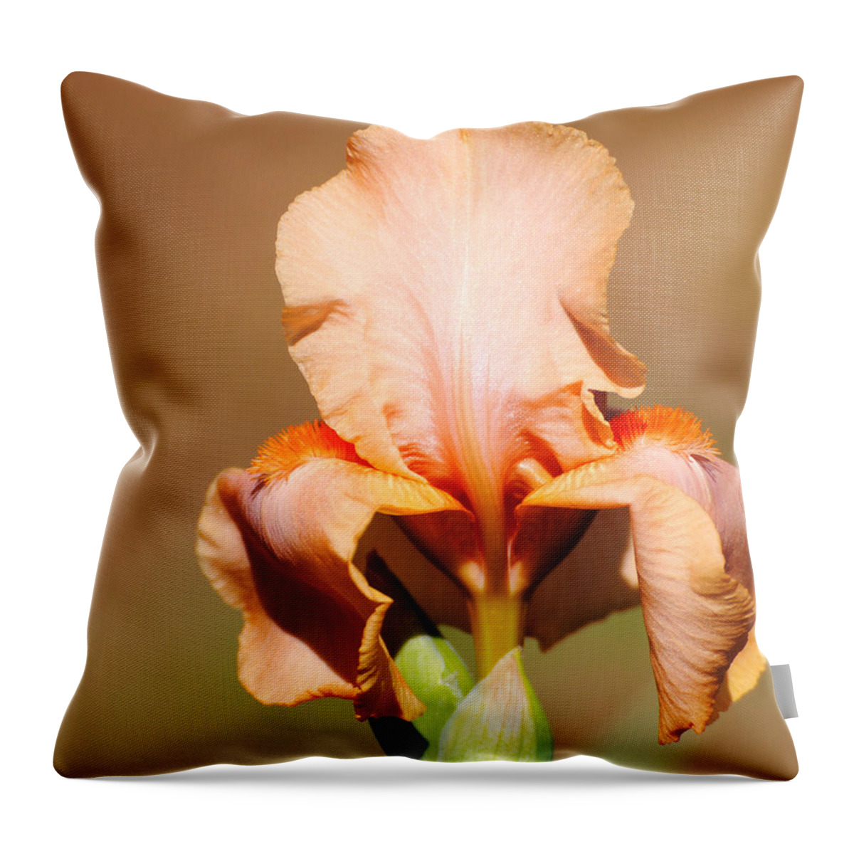 Beautiful Iris Throw Pillow featuring the photograph Peach Iris Flower by Jai Johnson