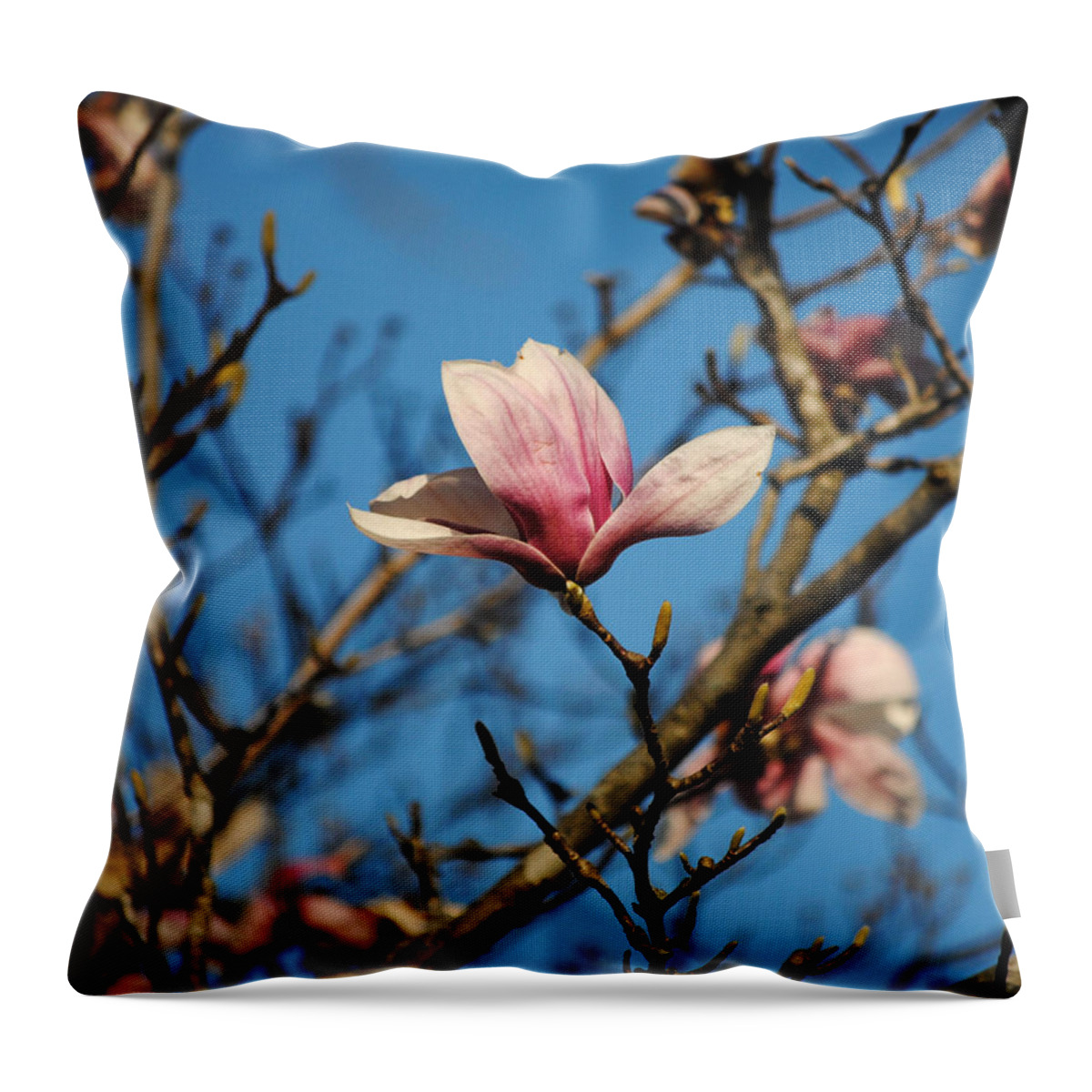 Flower Throw Pillow featuring the photograph Pink Magnolia Flower by Jai Johnson