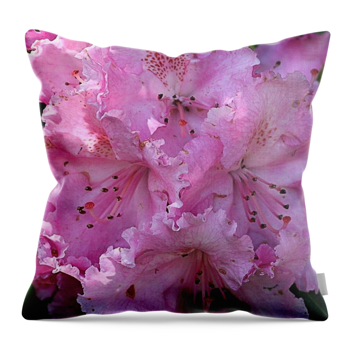 Rhodie Throw Pillow featuring the photograph Pink Rhododendrons by Chriss Pagani