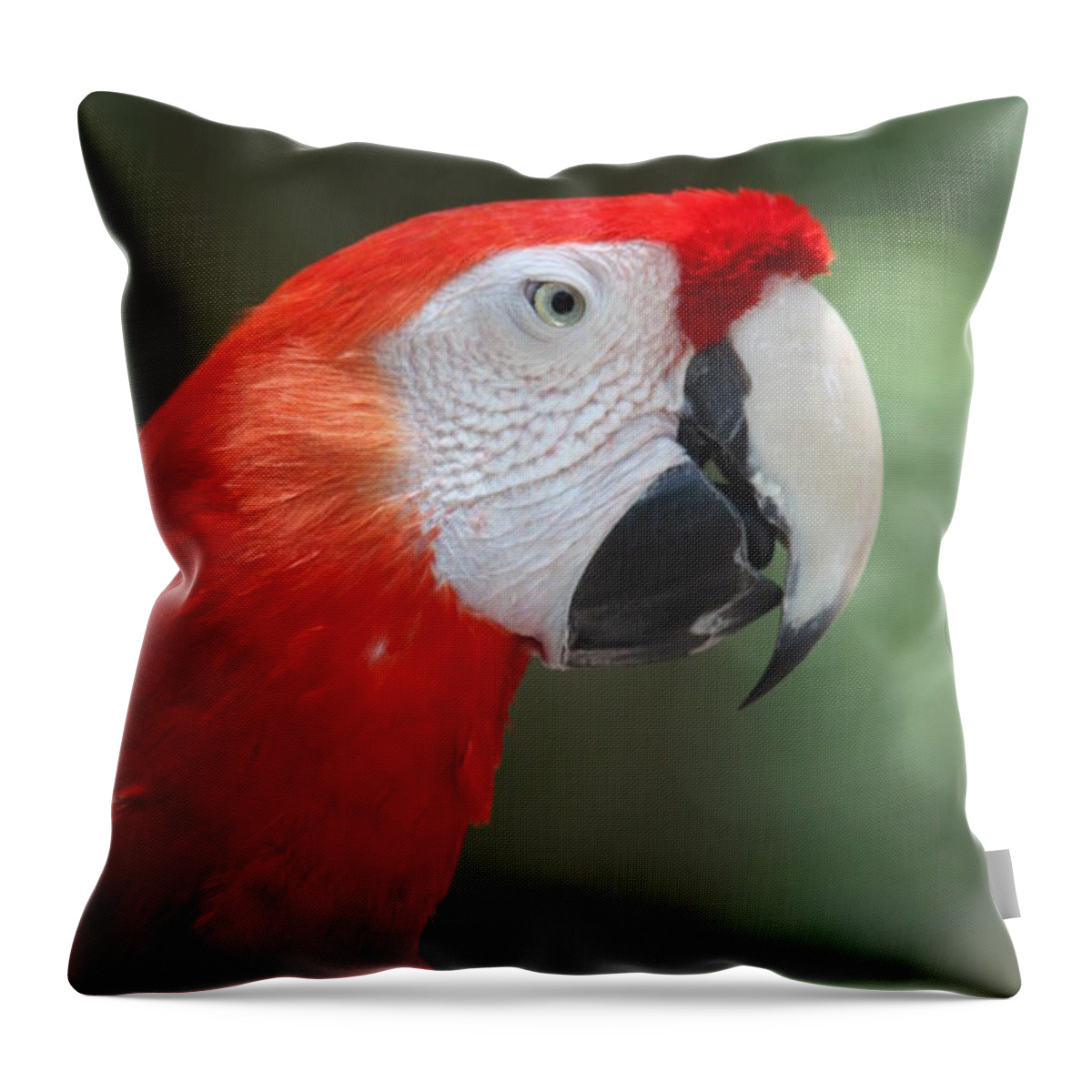 Polly Throw Pillow featuring the photograph Polly by Patrick Witz