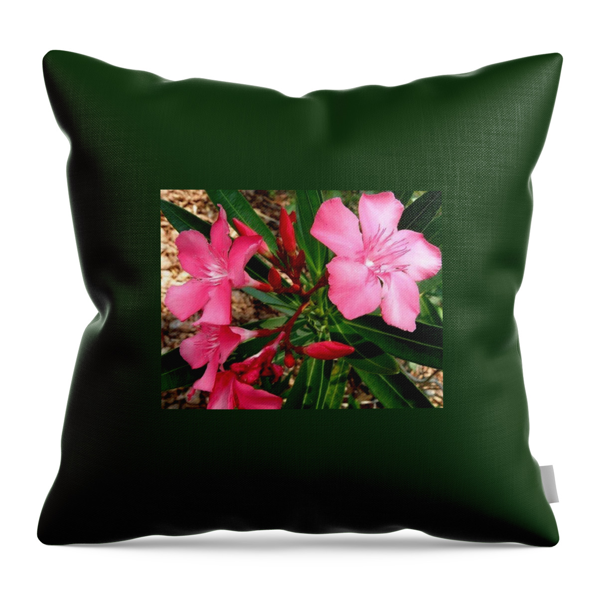 Pink Throw Pillow featuring the photograph Popping Pink by Kim Galluzzo Wozniak
