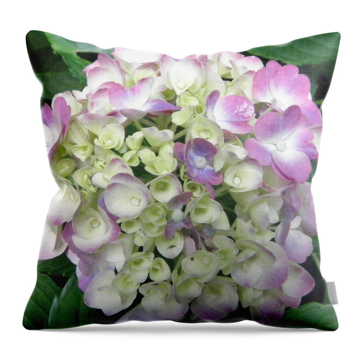 Hydrangea Throw Pillow featuring the photograph Pretty Pastels by Kim Galluzzo