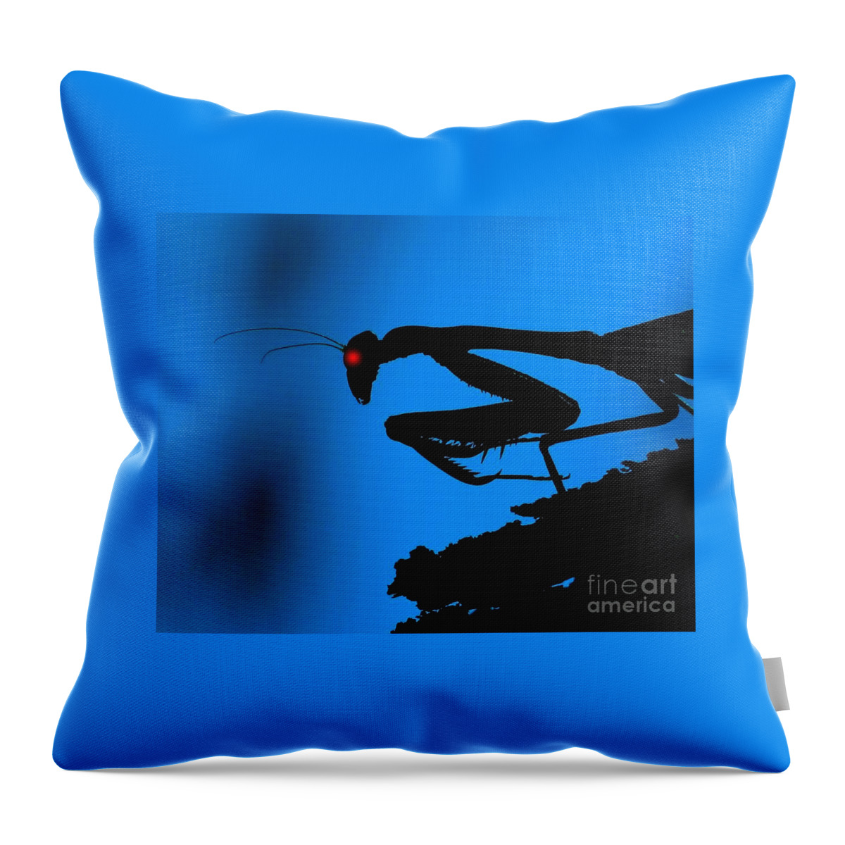 Discomforting Throw Pillow featuring the photograph Preying On Dreams by Patrick Witz