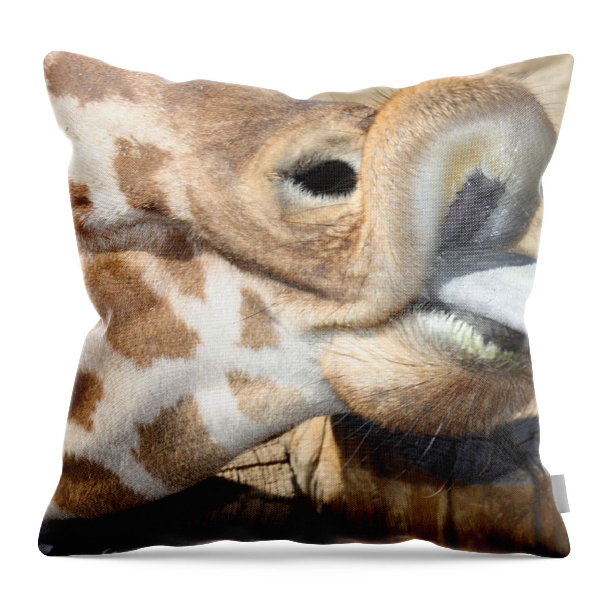 Giraffe Throw Pillow featuring the photograph Pucker Up by Kim Galluzzo Wozniak