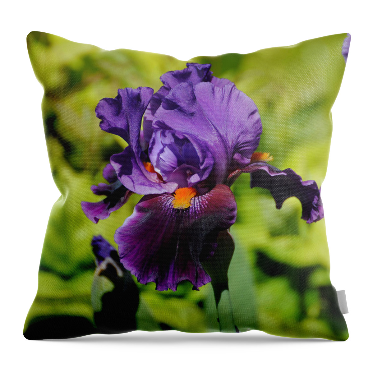 Beautiful Iris Throw Pillow featuring the photograph Purple and Orange Iris Flower by Jai Johnson