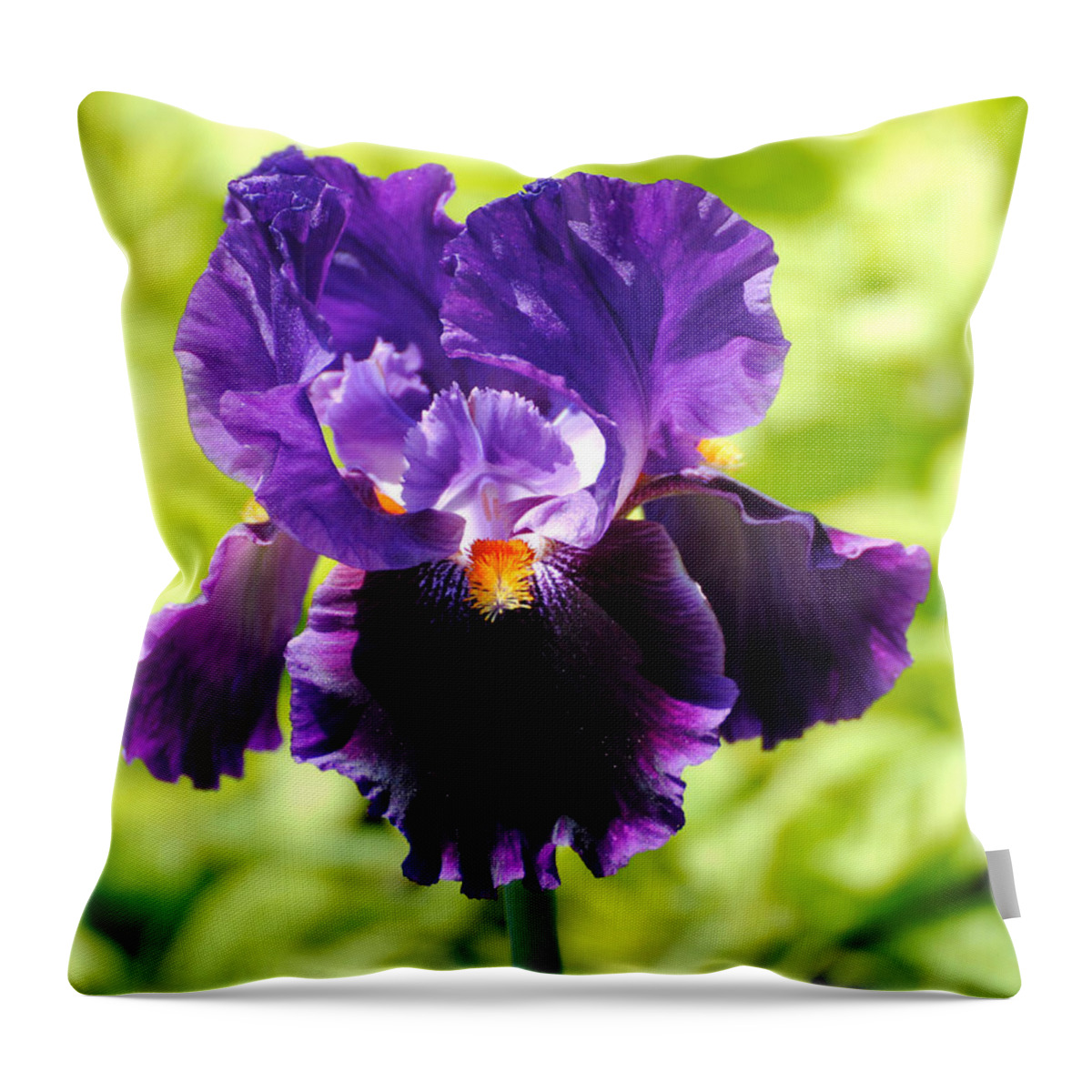 Flower Throw Pillow featuring the photograph Purple and Orange Iris by Jai Johnson