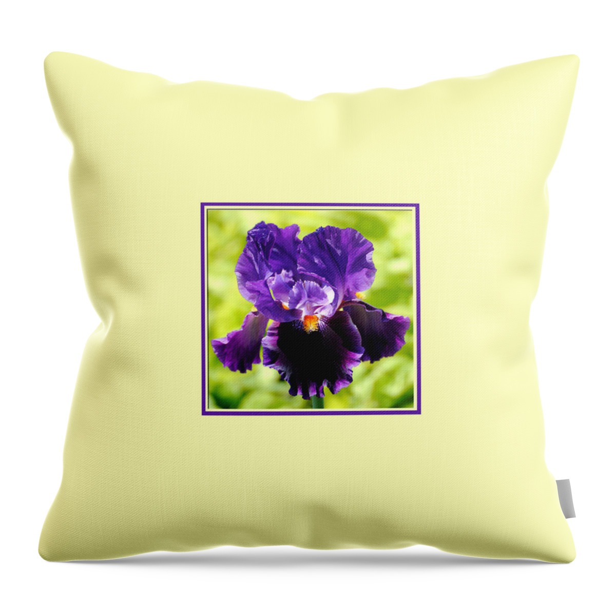 Flower Throw Pillow featuring the photograph Purple and Orange Iris Photo Square by Jai Johnson
