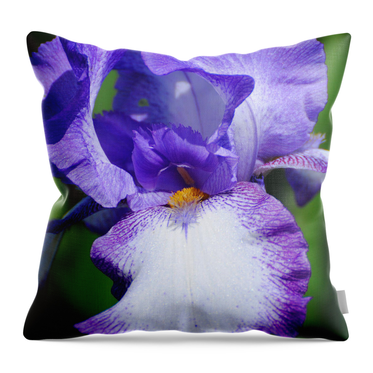 Beautiful Iris Throw Pillow featuring the photograph Purple and White Iris Flower by Jai Johnson