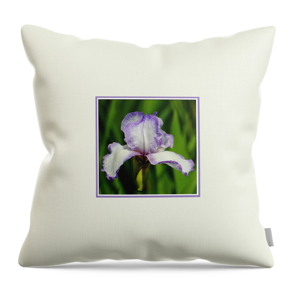 beautiful Iris Throw Pillow featuring the photograph Purple and White Iris Photo Square by Jai Johnson