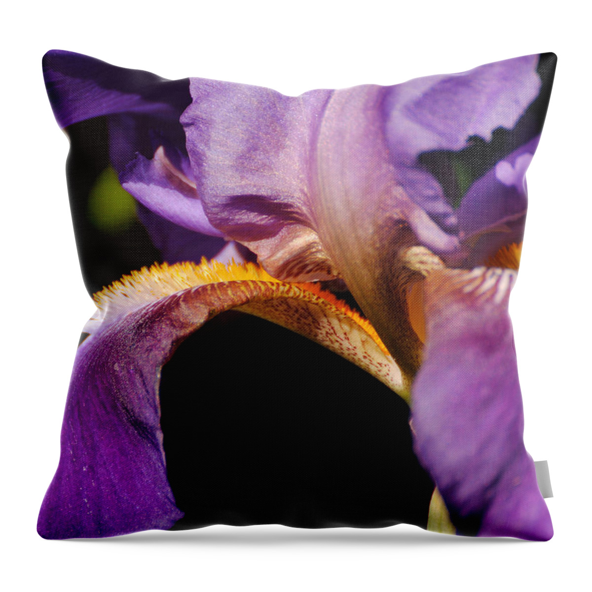 Beautiful Iris Throw Pillow featuring the photograph Purple and Yellow Iris Close Up by Jai Johnson
