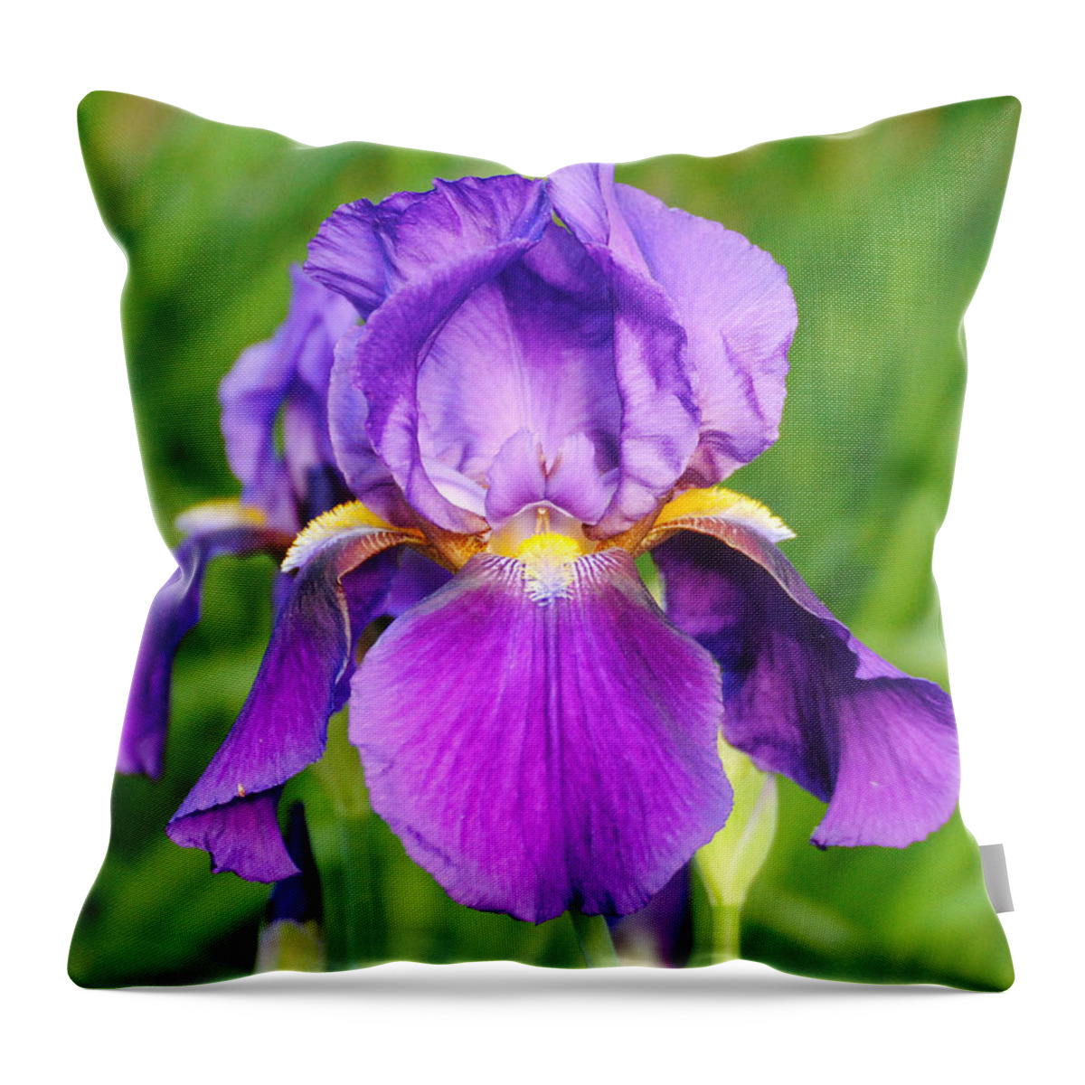 Beautiful Iris Throw Pillow featuring the photograph Purple and Yellow Iris Flower by Jai Johnson