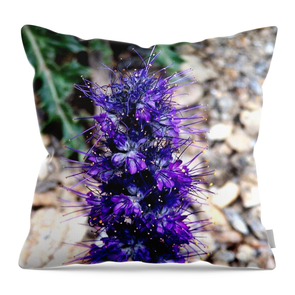 Wildflowers Throw Pillow featuring the photograph Purple Reign by Dorrene BrownButterfield