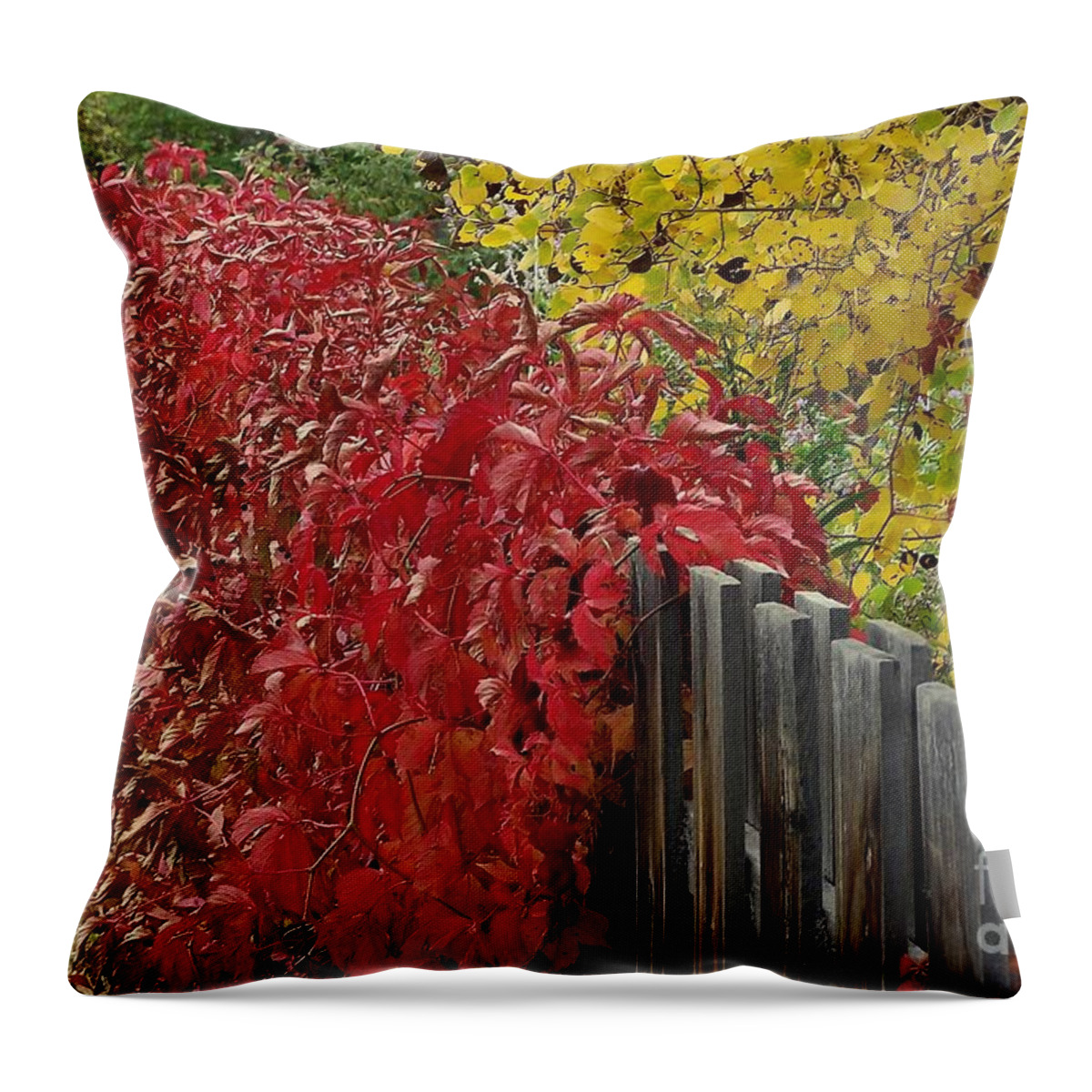 Fall Colors Throw Pillow featuring the photograph Red Fence by Dorrene BrownButterfield
