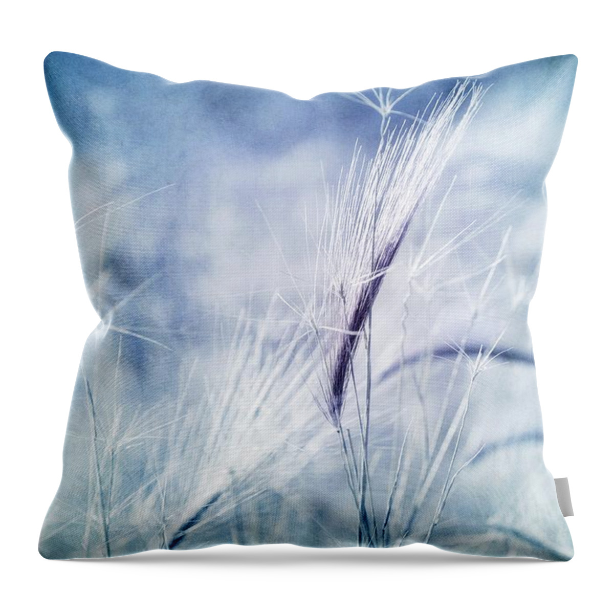 Plant Throw Pillow featuring the photograph Roadside Blues by Priska Wettstein