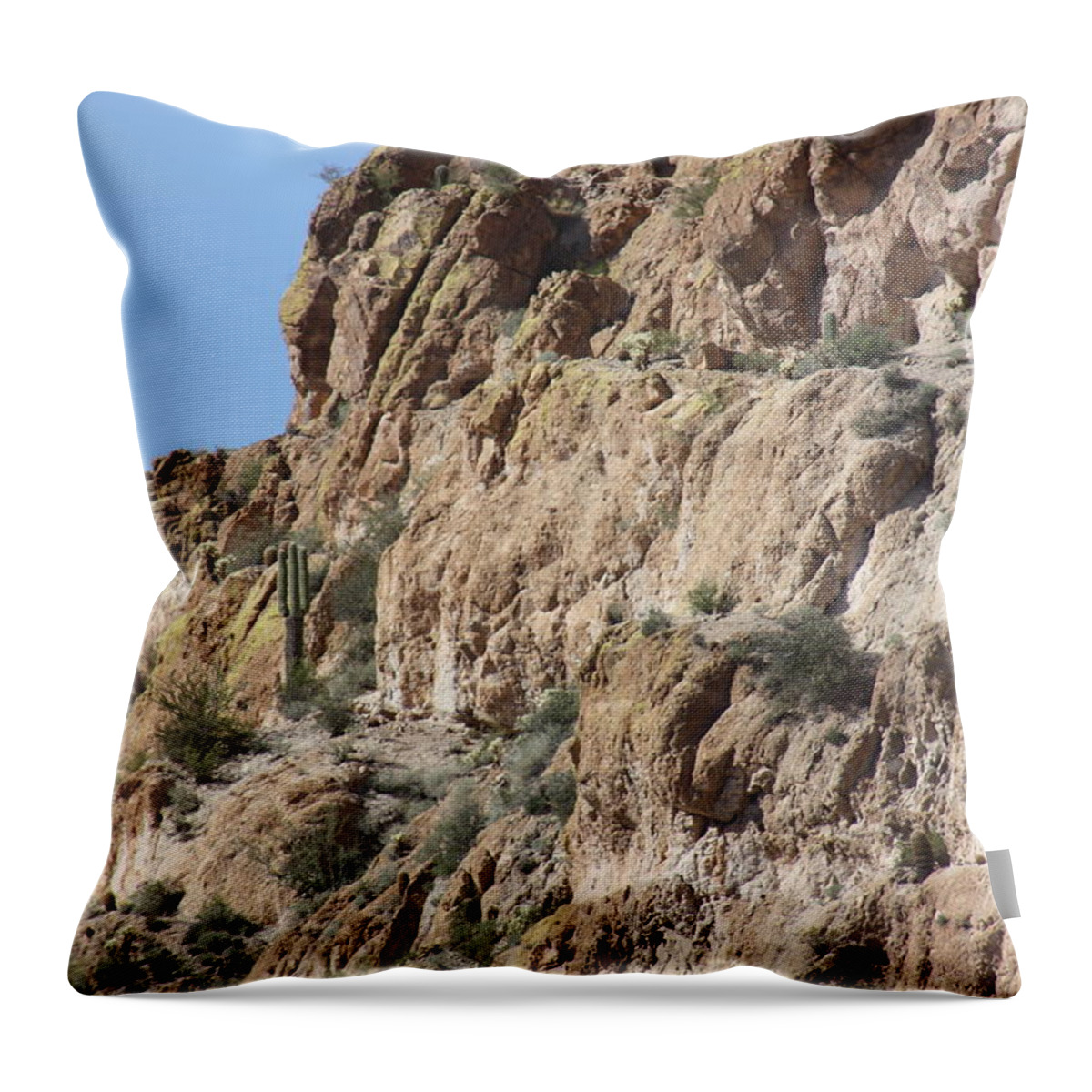 Sagouro Throw Pillow featuring the photograph Rocky Landscape by Kim Galluzzo Wozniak