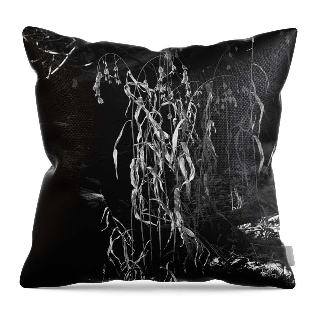 Black And White Throw Pillow featuring the photograph Saw Oats in River Flood Area by Michael Dougherty