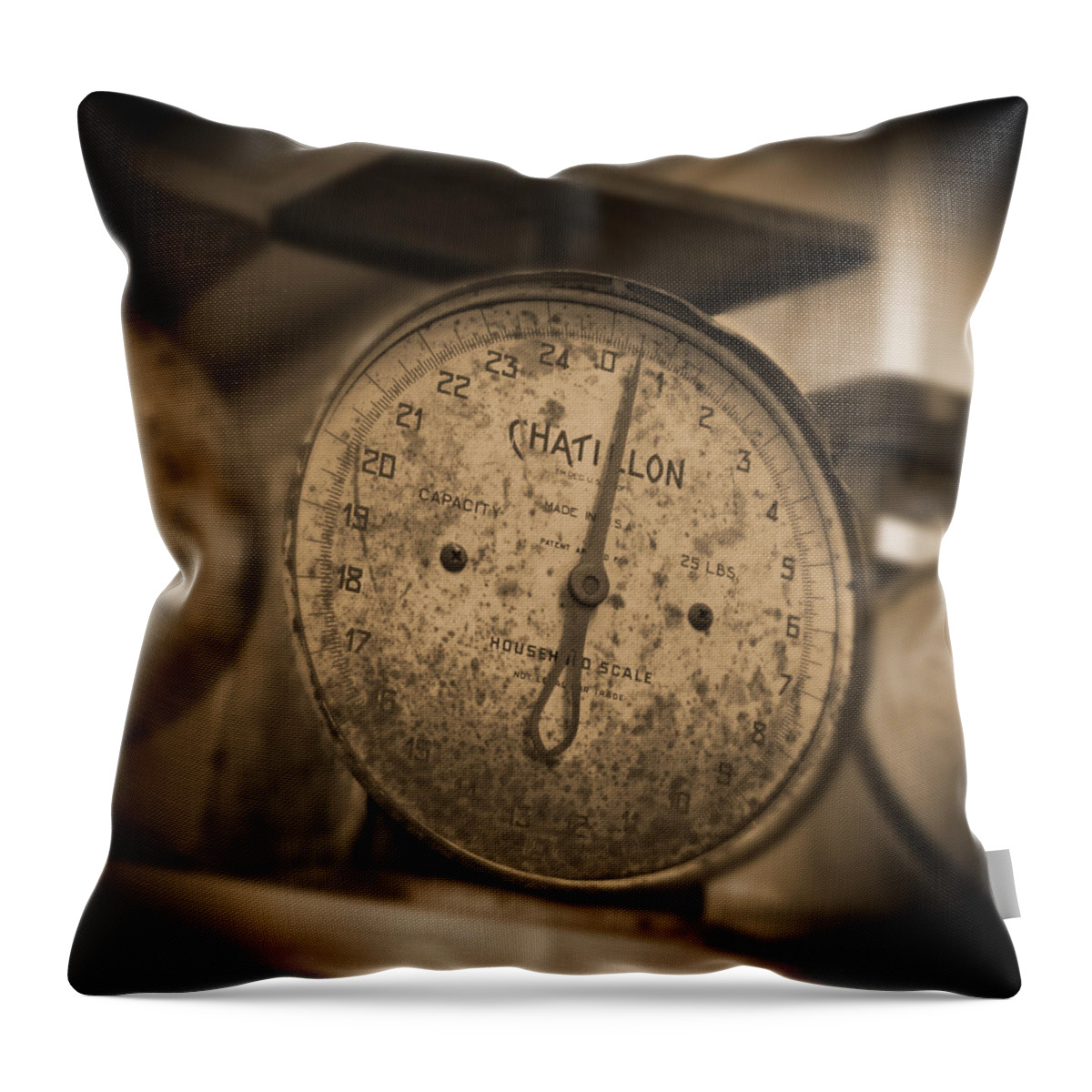 Scale Throw Pillow featuring the photograph Scale by Mike McGlothlen