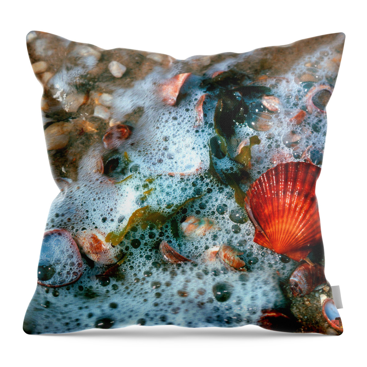 Nature Throw Pillow featuring the photograph Scallop and Seaweed 11C by Gerry Gantt