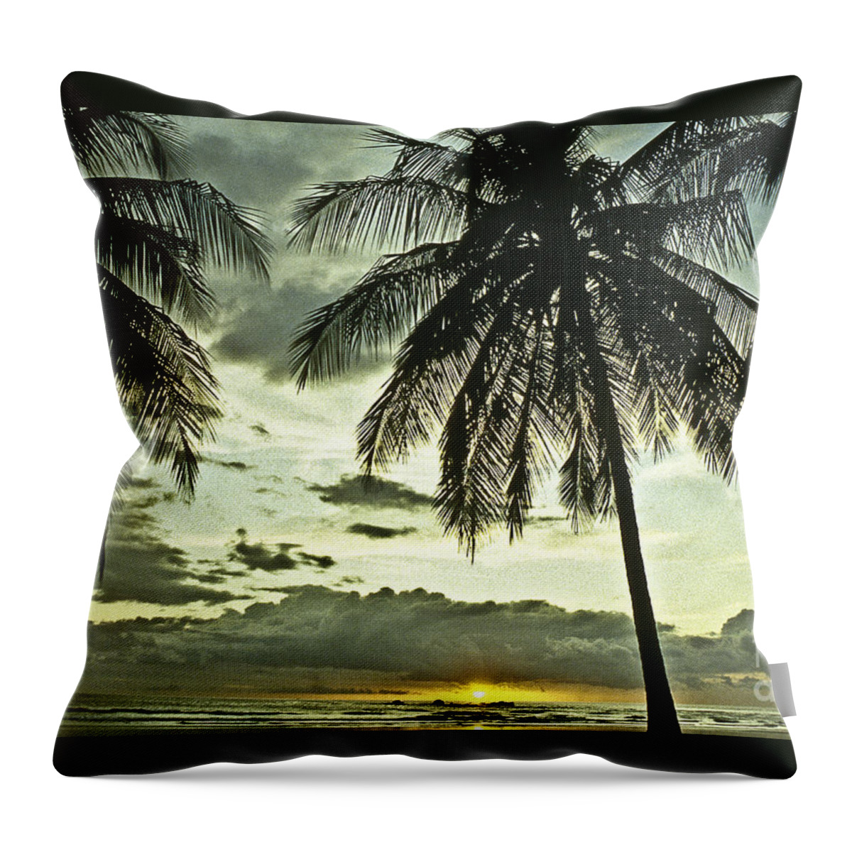 Landscape Throw Pillow featuring the photograph Scenic evening by Heiko Koehrer-Wagner