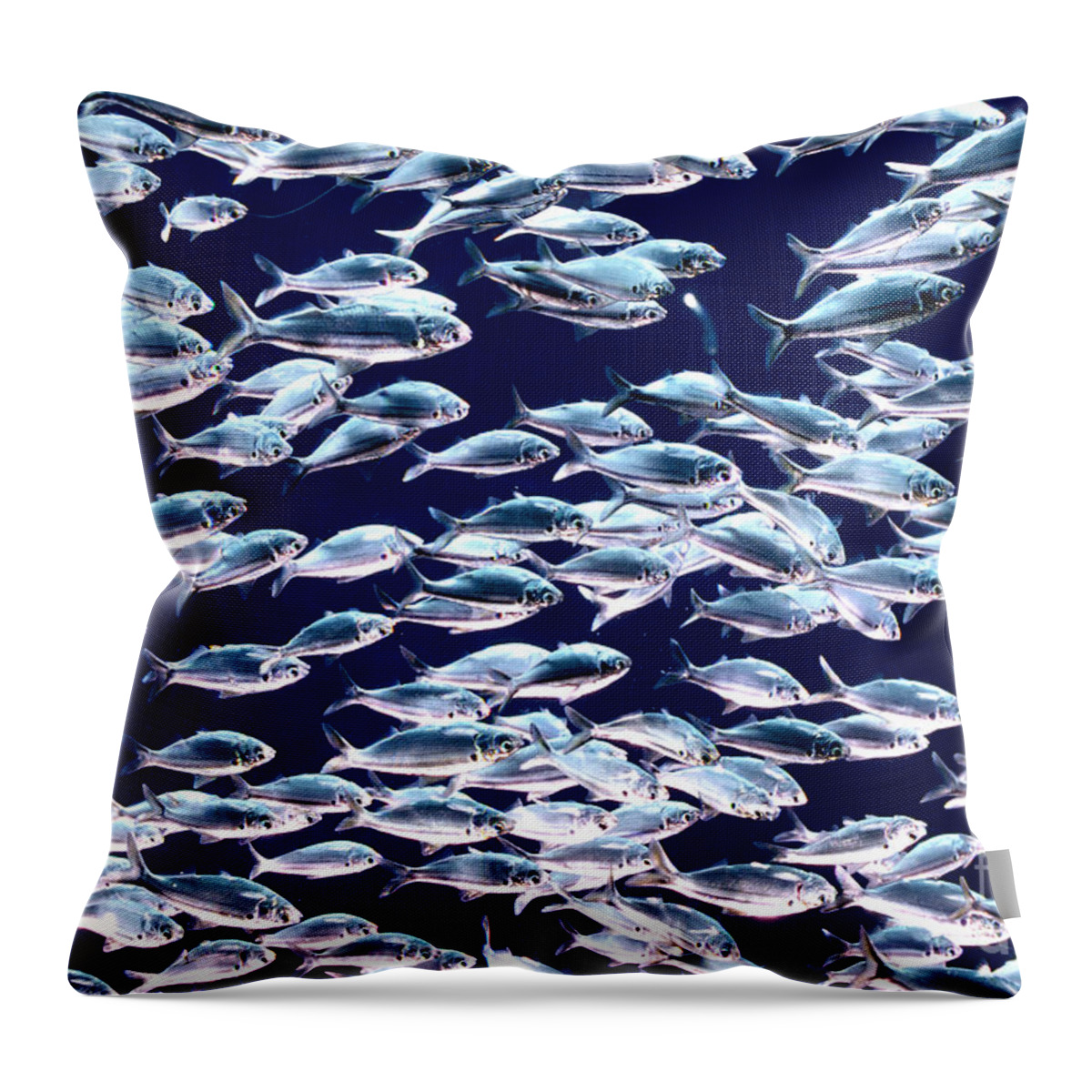 Horizontal Throw Pillow featuring the photograph School of Threadfin Shad by Tom McHugh and Photo Researchers
