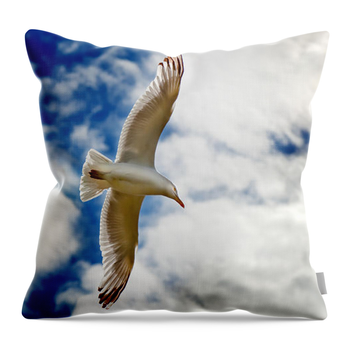 Seagul Throw Pillow featuring the photograph Seagul gliding in flight by Simon Bratt