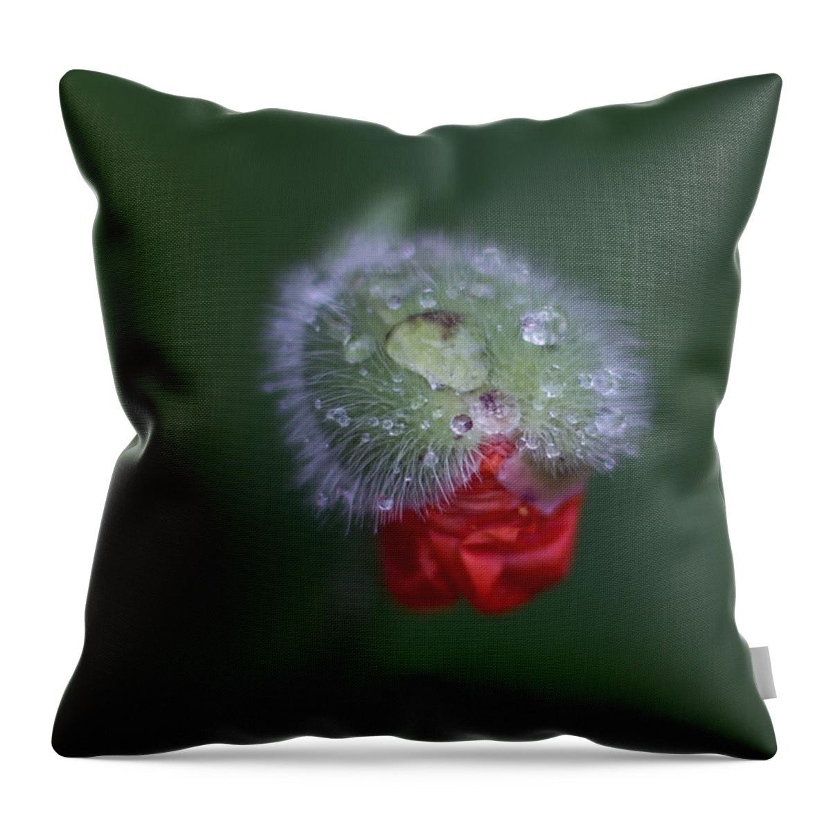 Poppy Throw Pillow featuring the photograph Sequel by Jakub Sisak