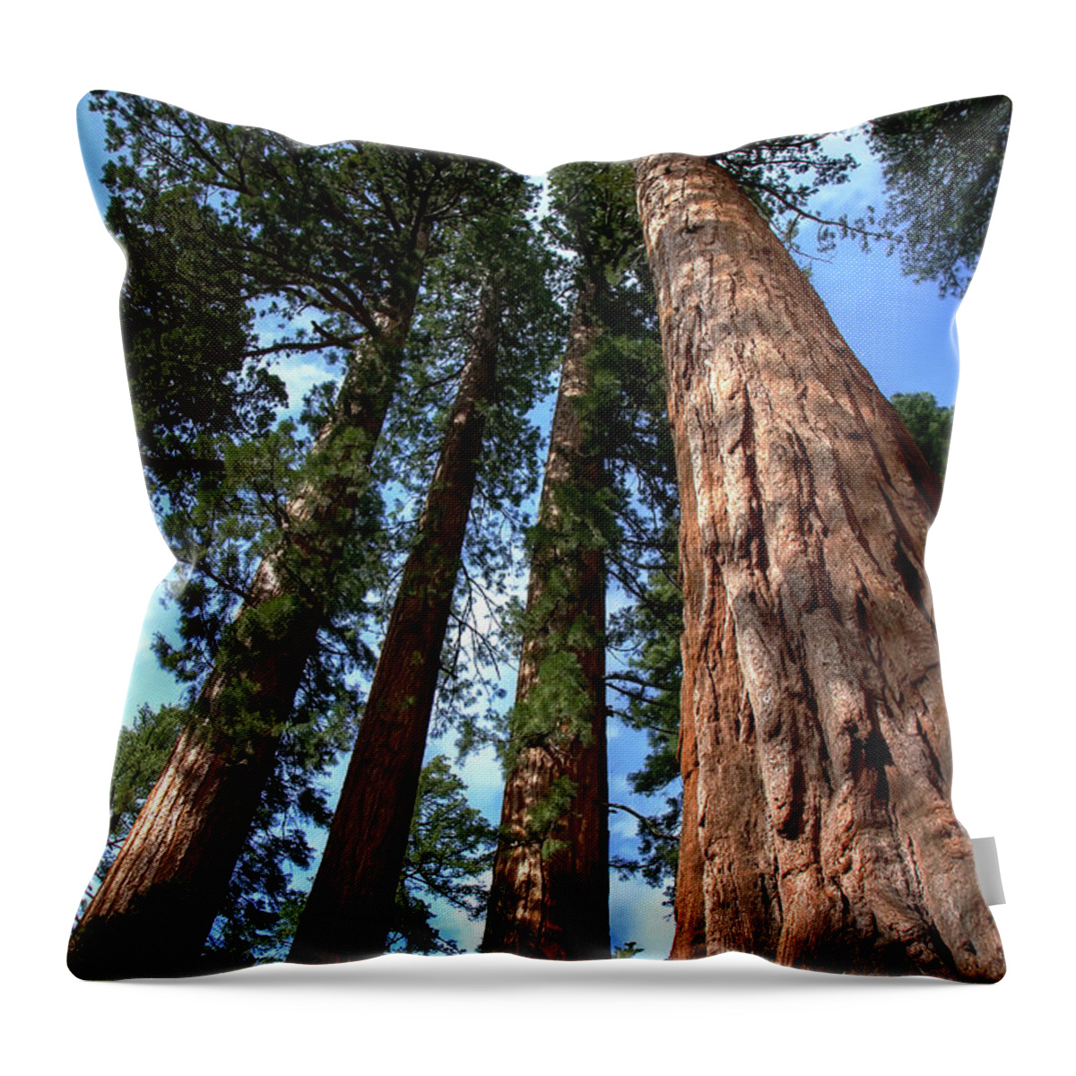 Yosemite Throw Pillow featuring the photograph Skyview by Sue Karski