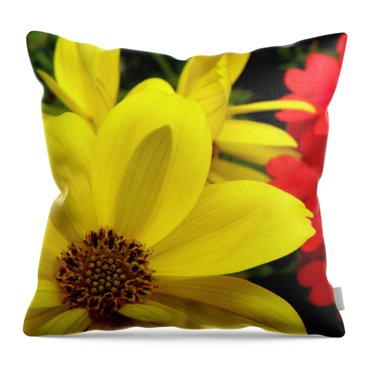 Yellow Flower Throw Pillow featuring the photograph Spring Has Sprung by Kim Galluzzo Wozniak