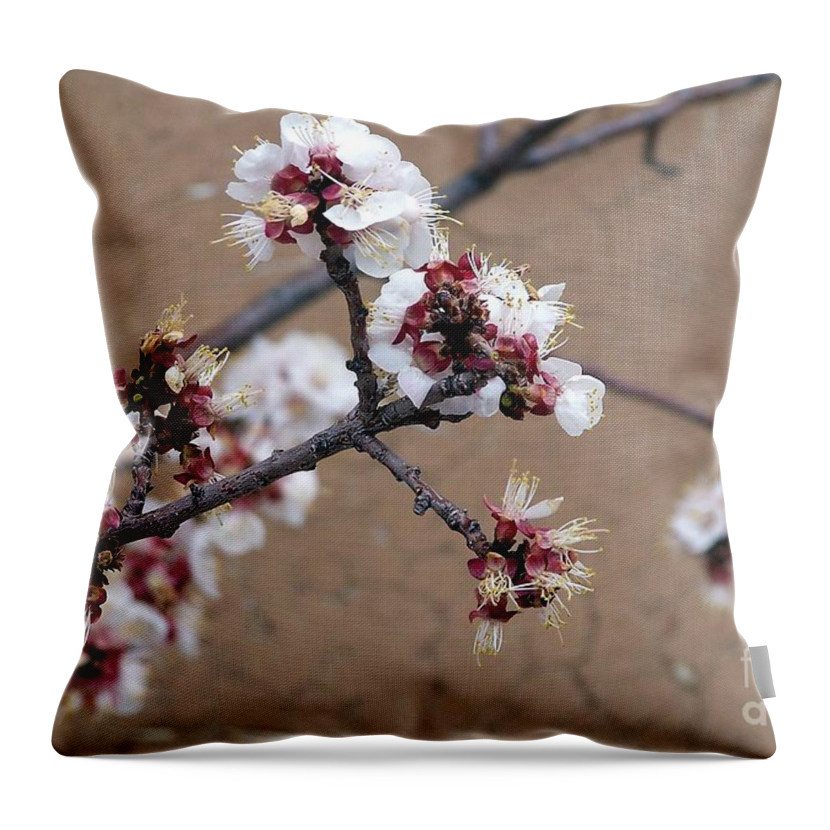 Trees Throw Pillow featuring the photograph Spring Promises by Dorrene BrownButterfield