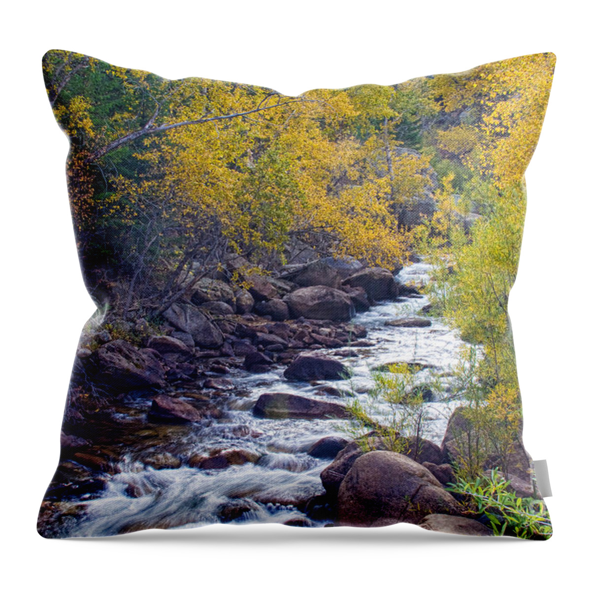 Autumn Throw Pillow featuring the photograph St Vrain Canyon and River Autumn Season Boulder County Colorado by James BO Insogna