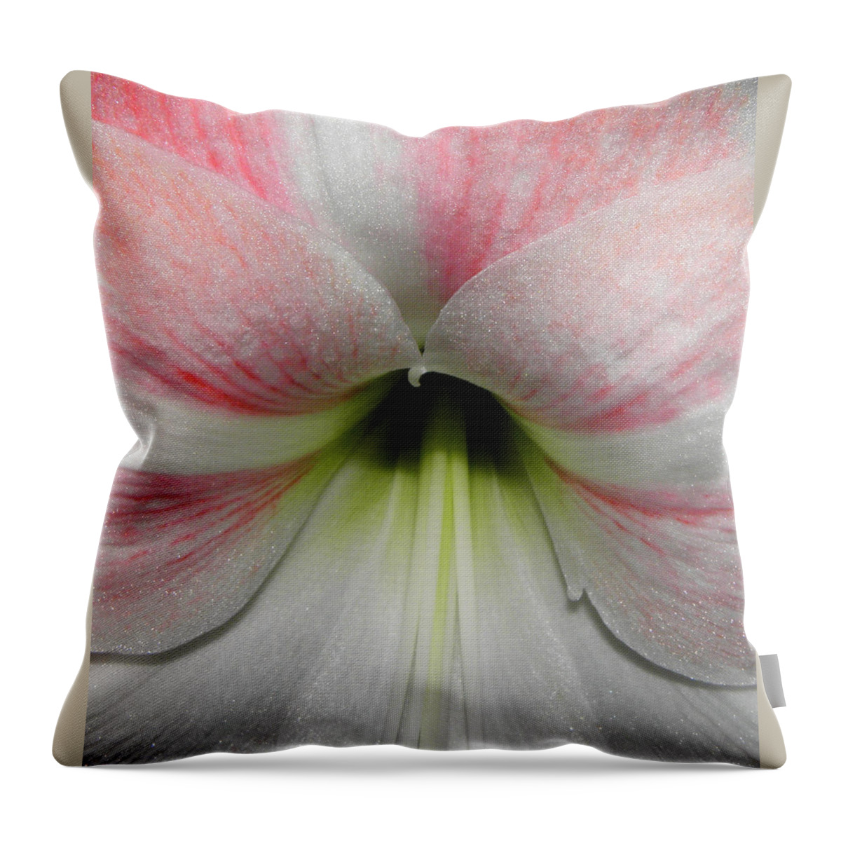 Pink Throw Pillow featuring the photograph Streaks Of Pink by Kim Galluzzo Wozniak