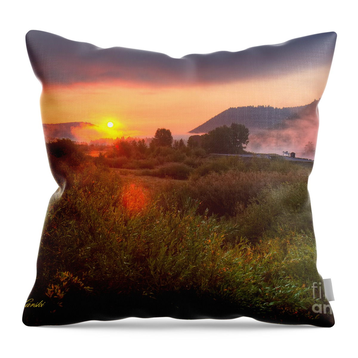 Grand Tetons Throw Pillow featuring the photograph Sunrise at Snake River by Sue Karski