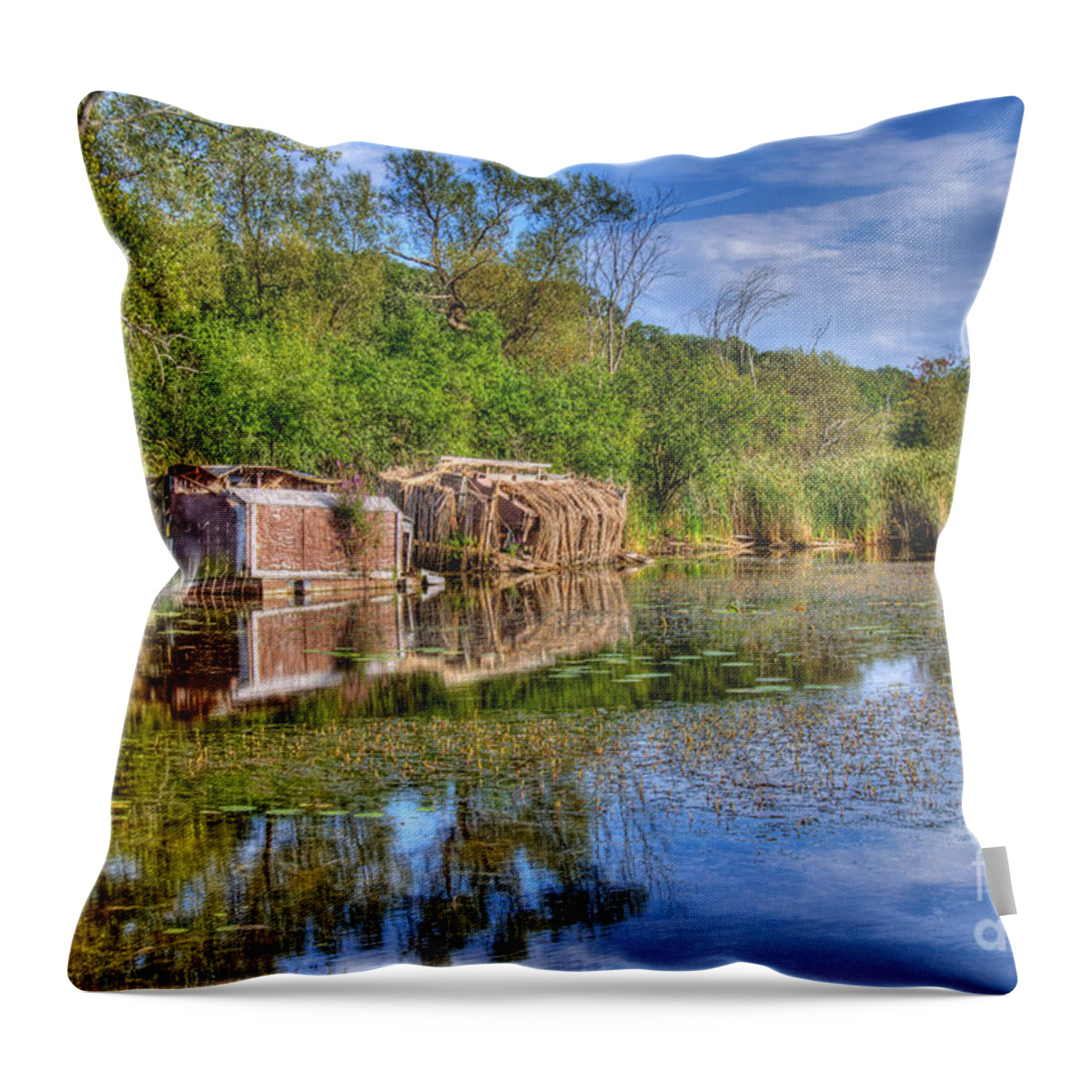 Swamp Throw Pillow featuring the photograph Swamp by Dejan Jovanovic