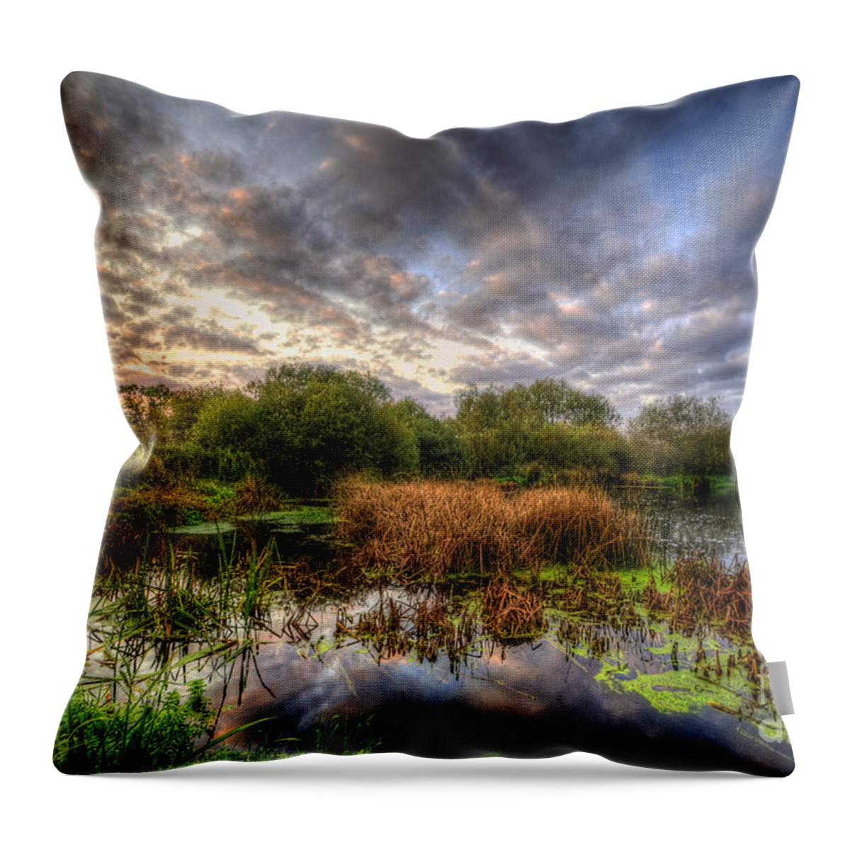 Hdr Throw Pillow featuring the photograph Swampy by Yhun Suarez